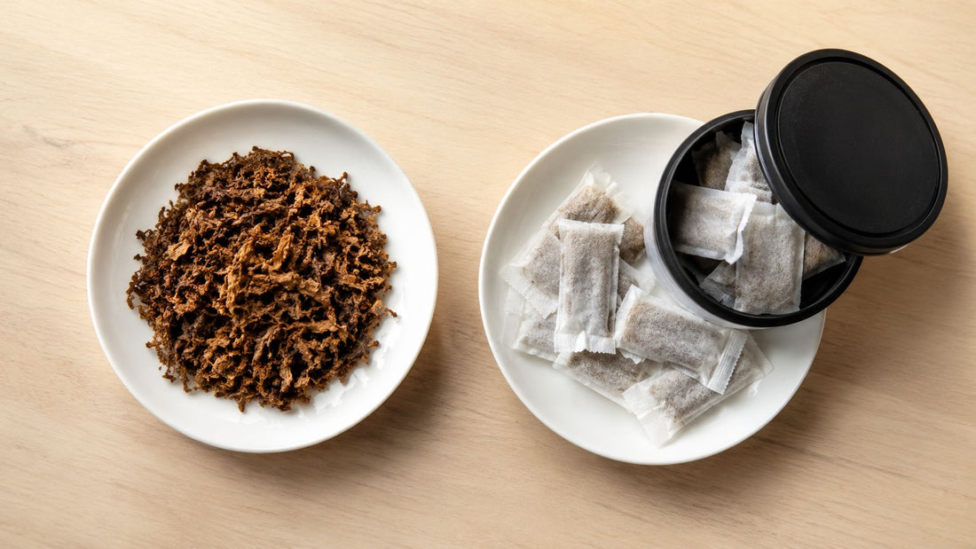 Chewing vs Dipping Explained for Adult Users